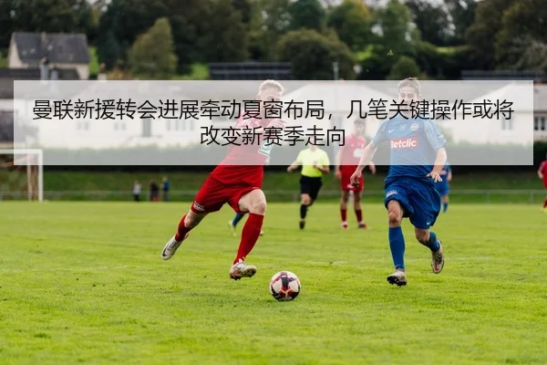 img_1781768459941_254_1_865.jpg